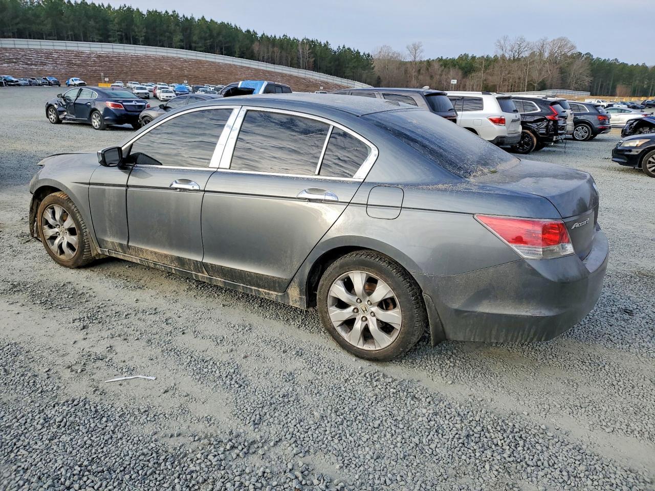 2008 Honda Accord Exl - Фото 2