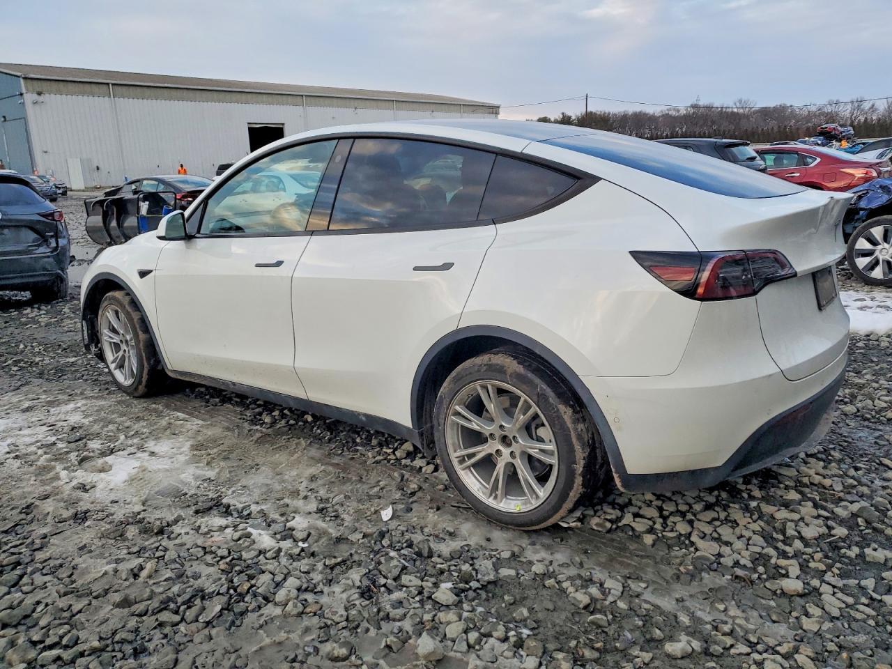 2022 Tesla Model Y - Фото 2