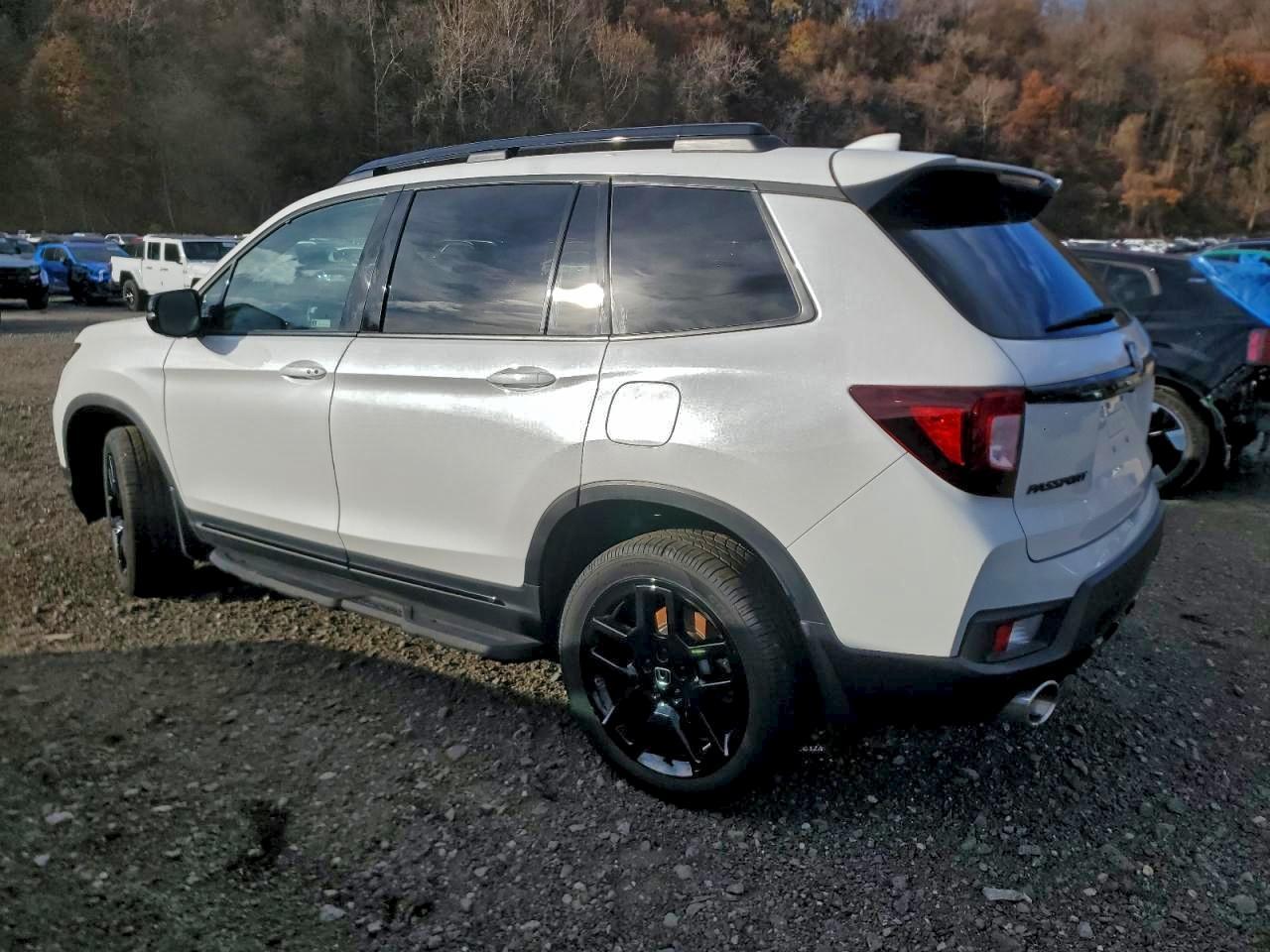 2024 Honda Passport Black Edition - Фото 2
