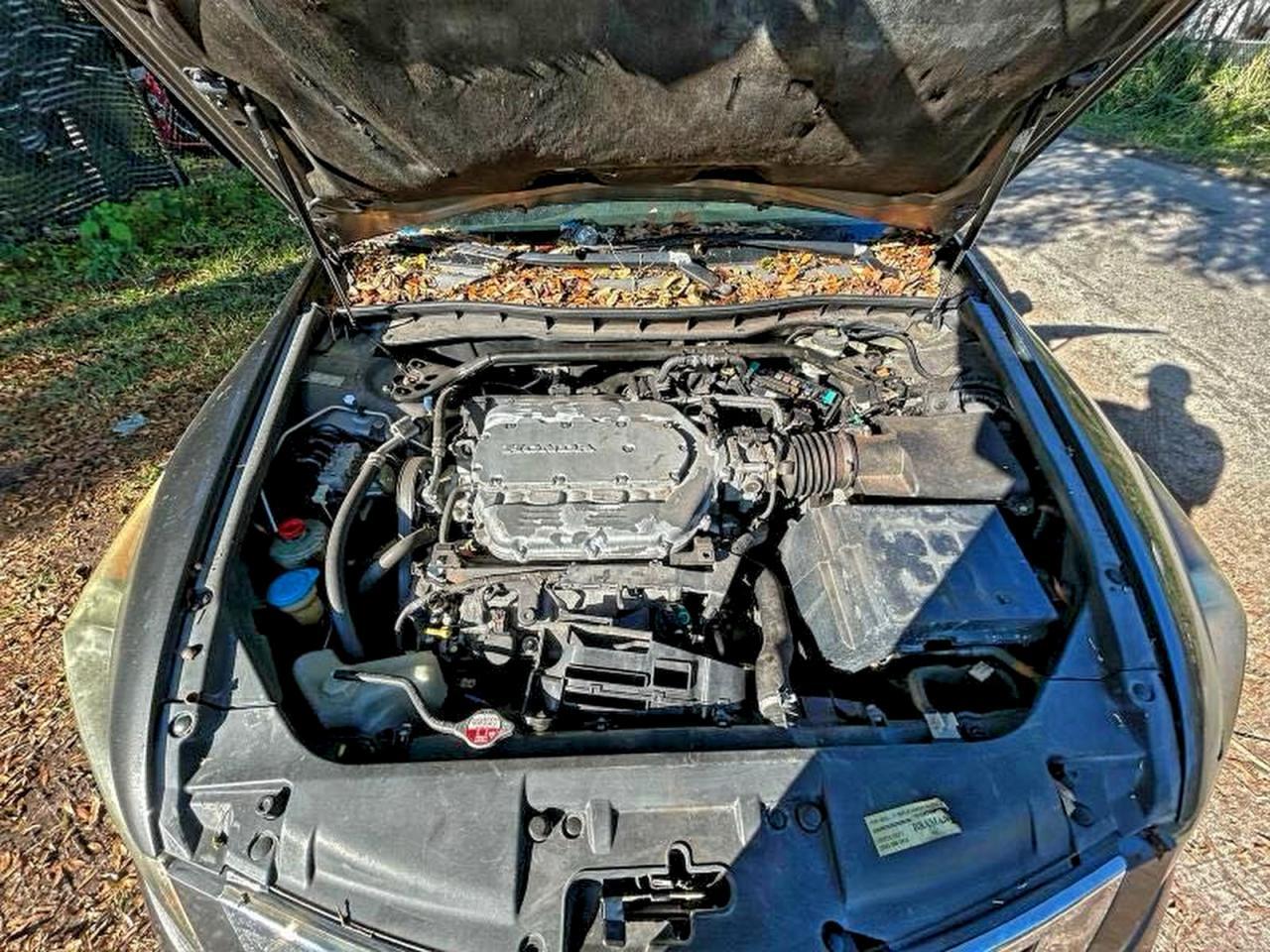 2008 Honda Accord Exl - Image 7