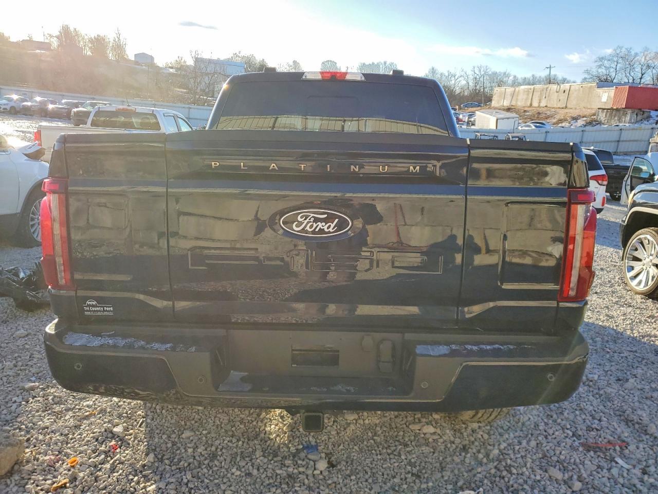 2025 Ford F150 Platinum - Фото 6