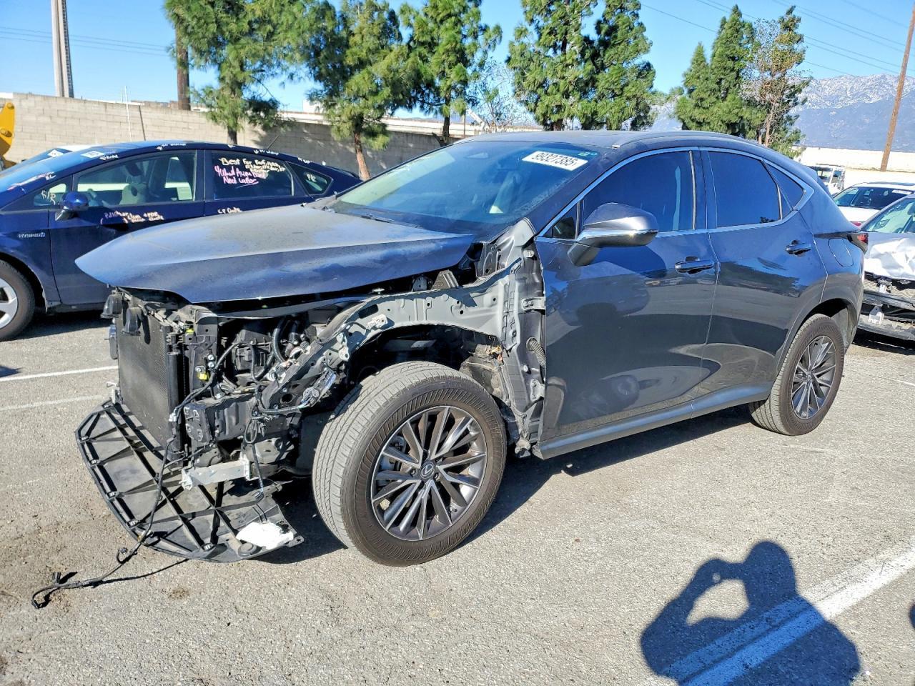 2024 Lexus Nx 350 Base