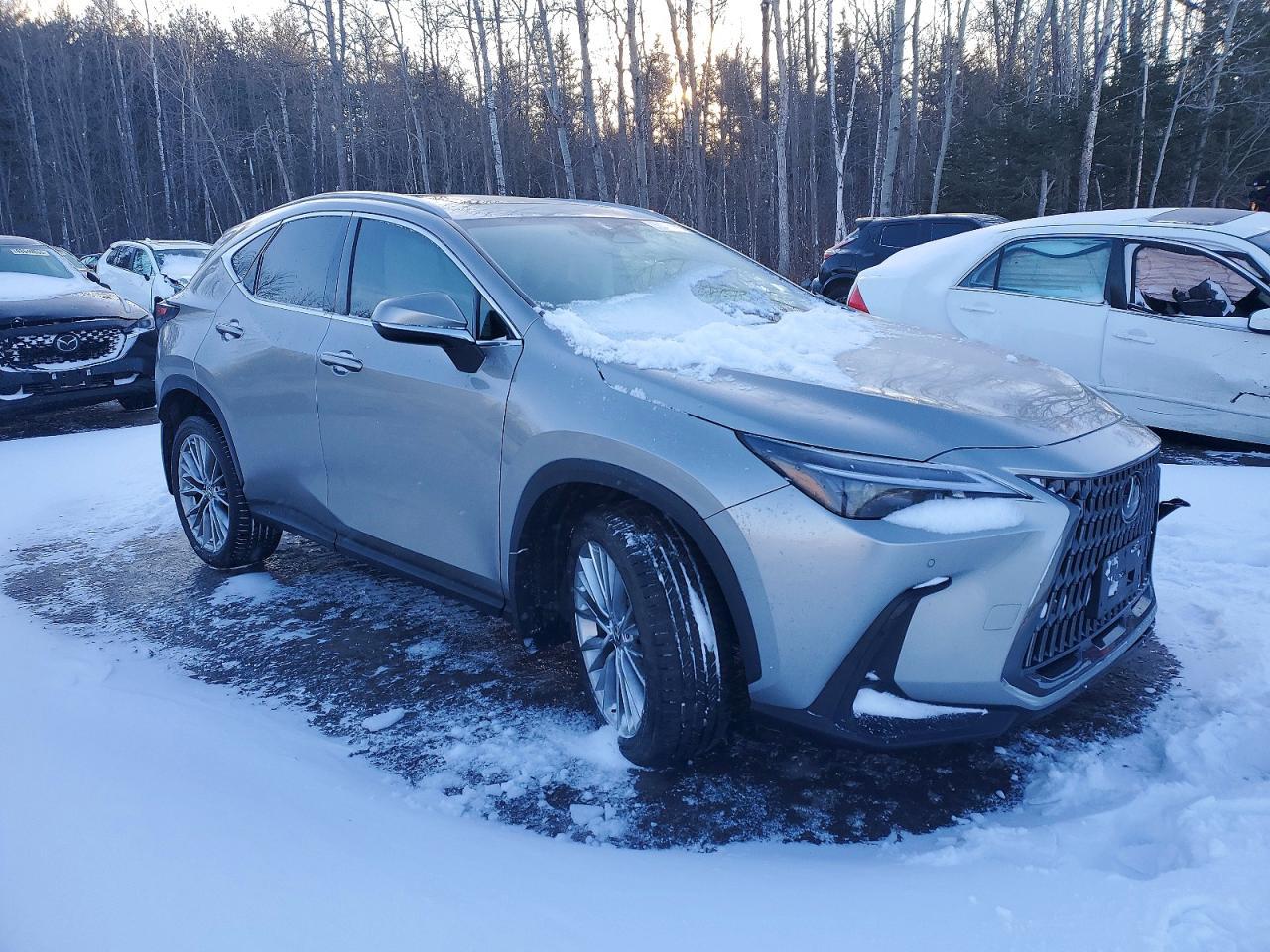 2024 Lexus Nx 350H Base - Image 4