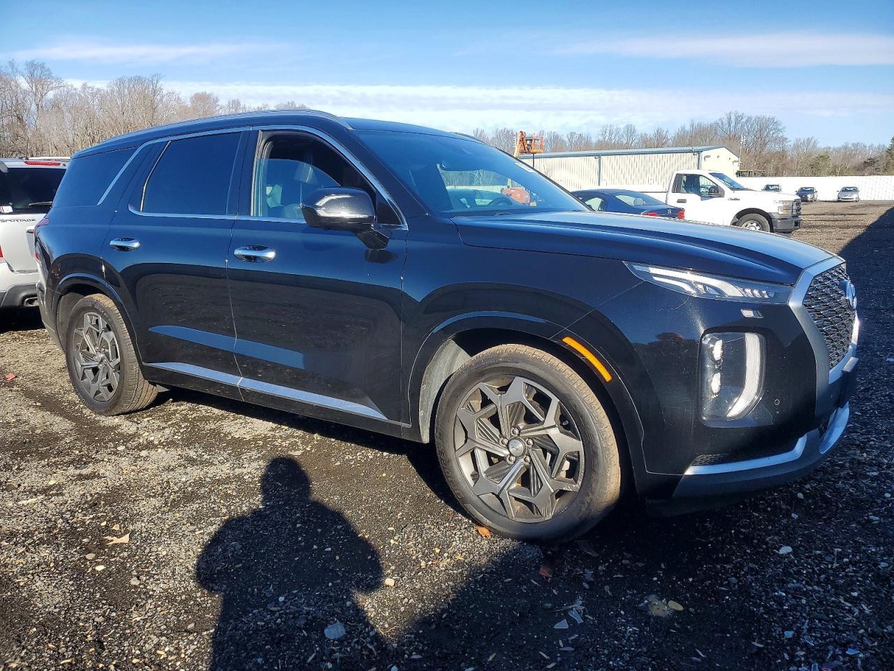 2021 Hyundai Palisade Calligraphy - Фото 4