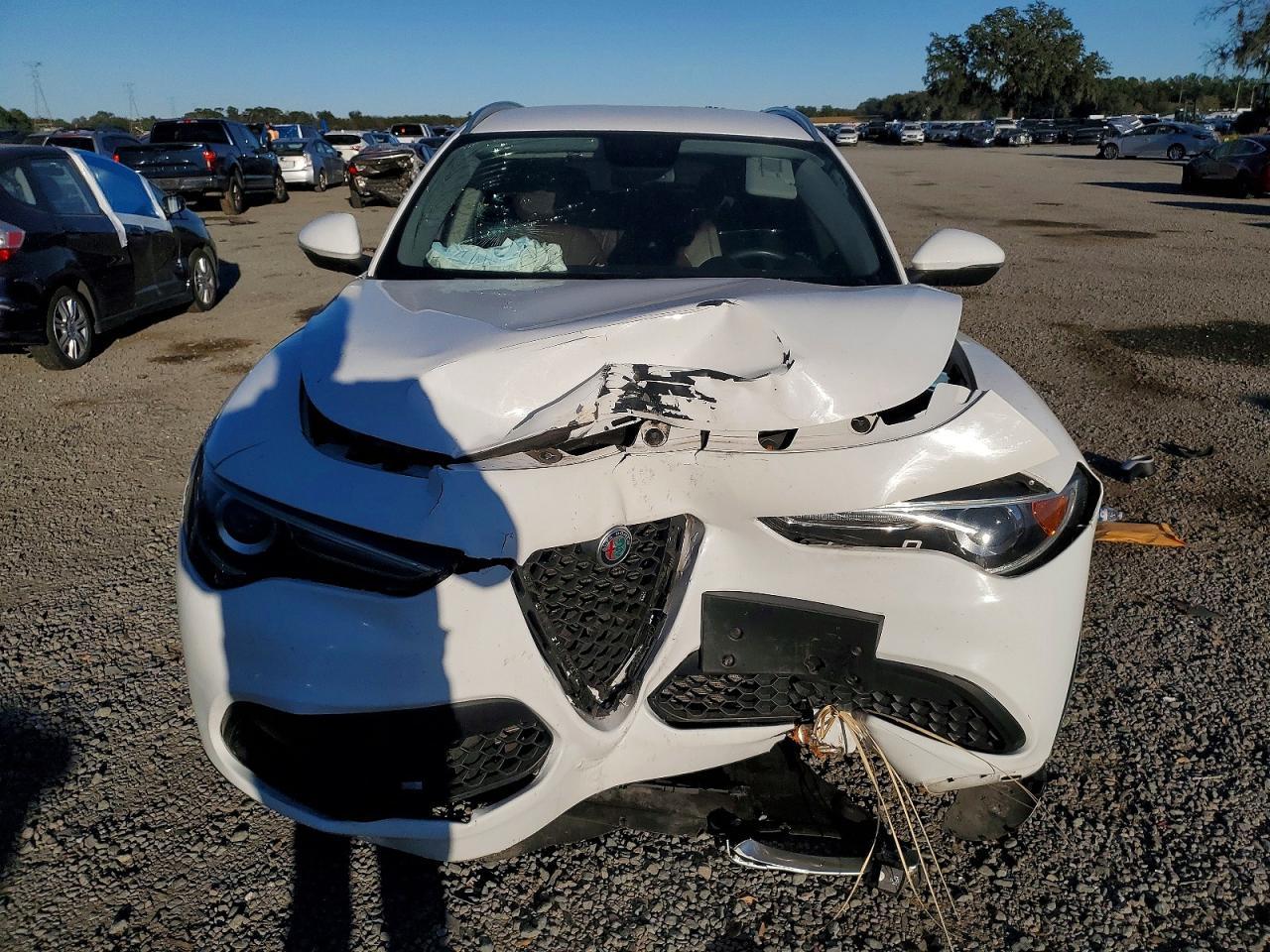 2018 Alfa Romeo Stelvio - Фото 5