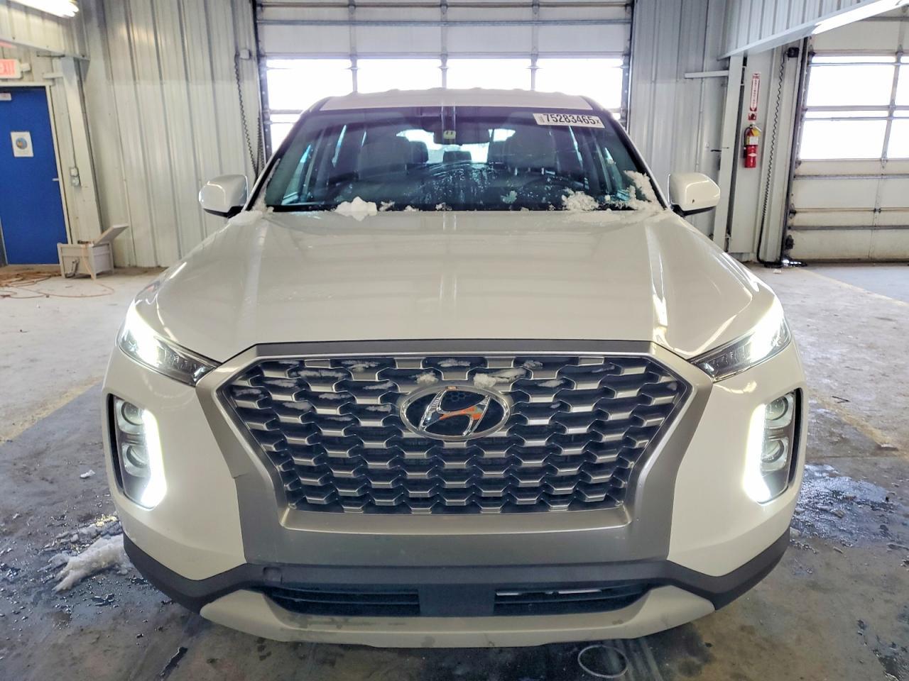 2020 Hyundai Palisade Se - Фото 5