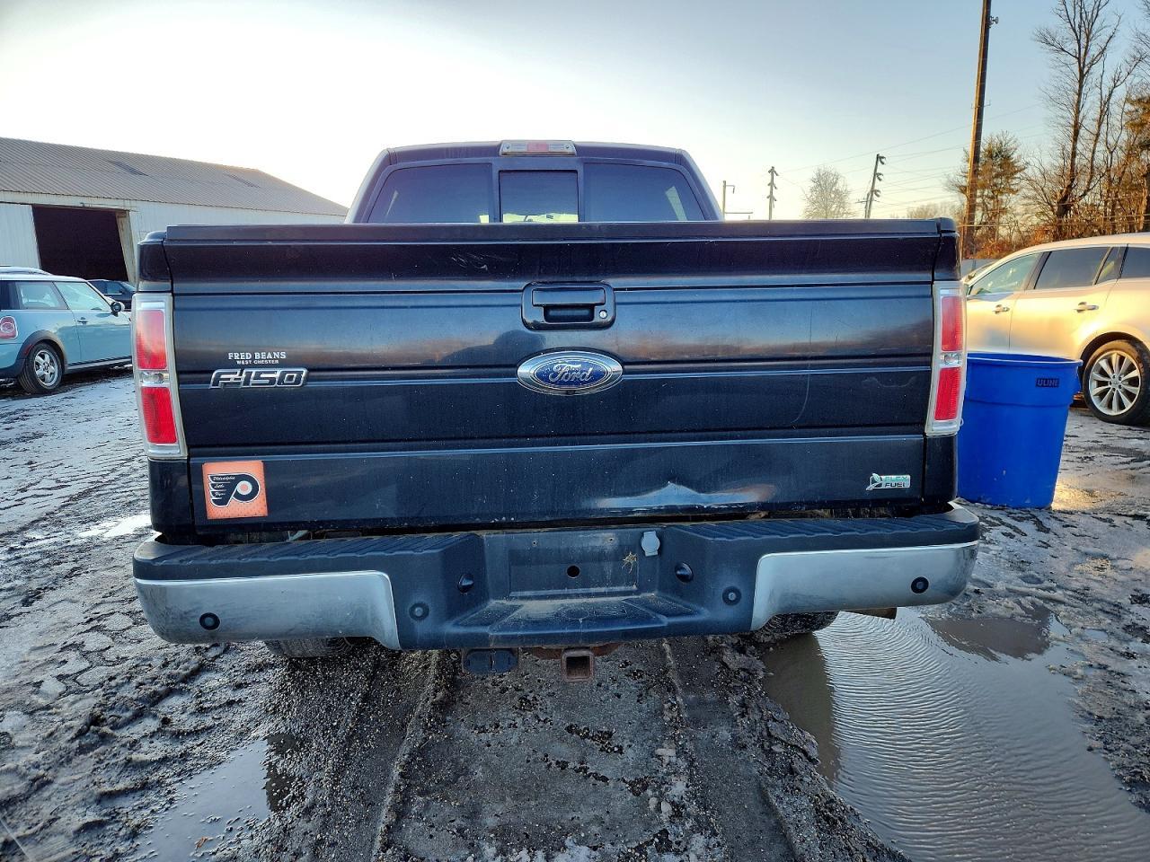 2010 Ford F-150 - Фото 6