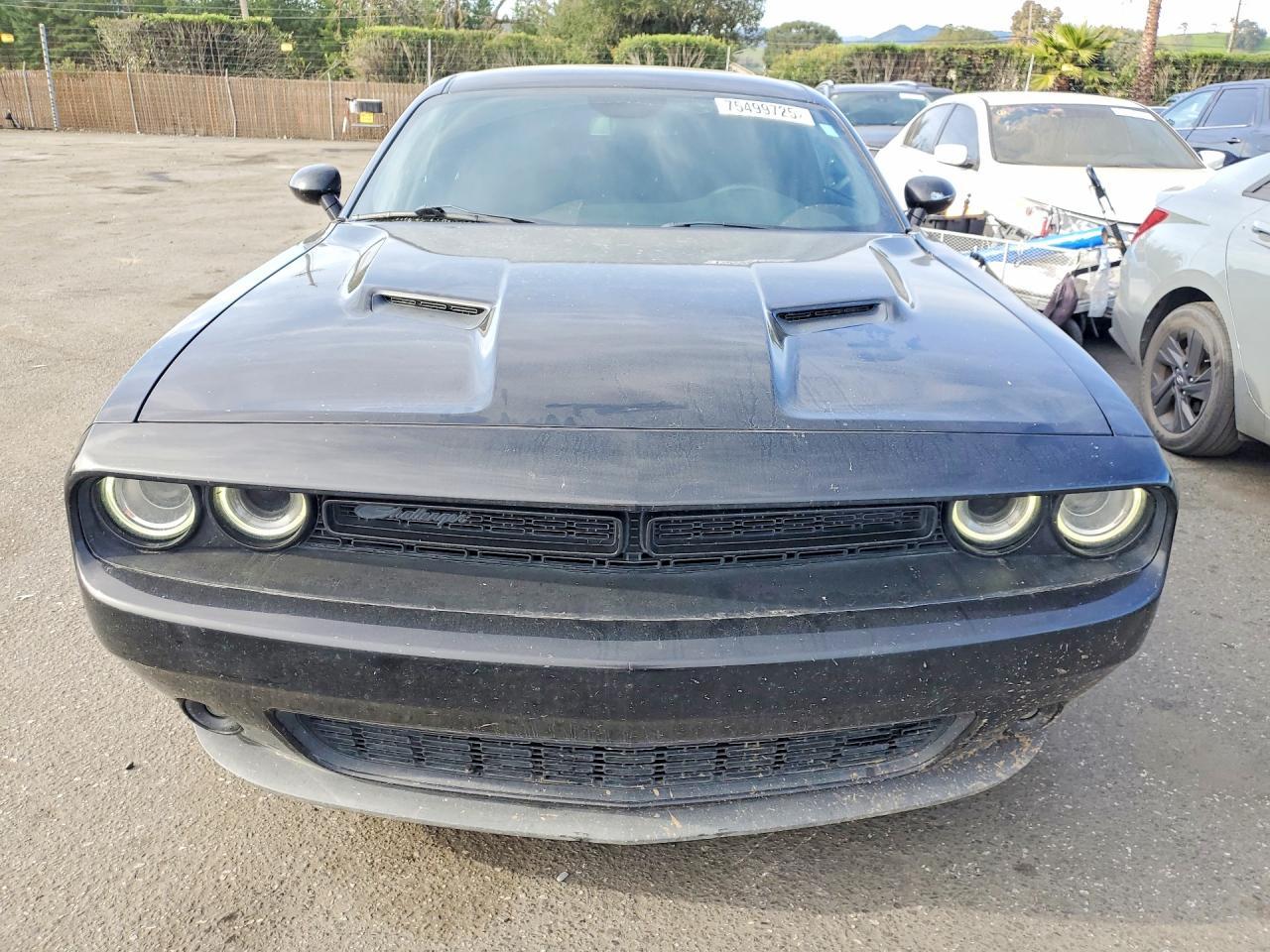2019 Dodge Challenger Sxt - Image 5