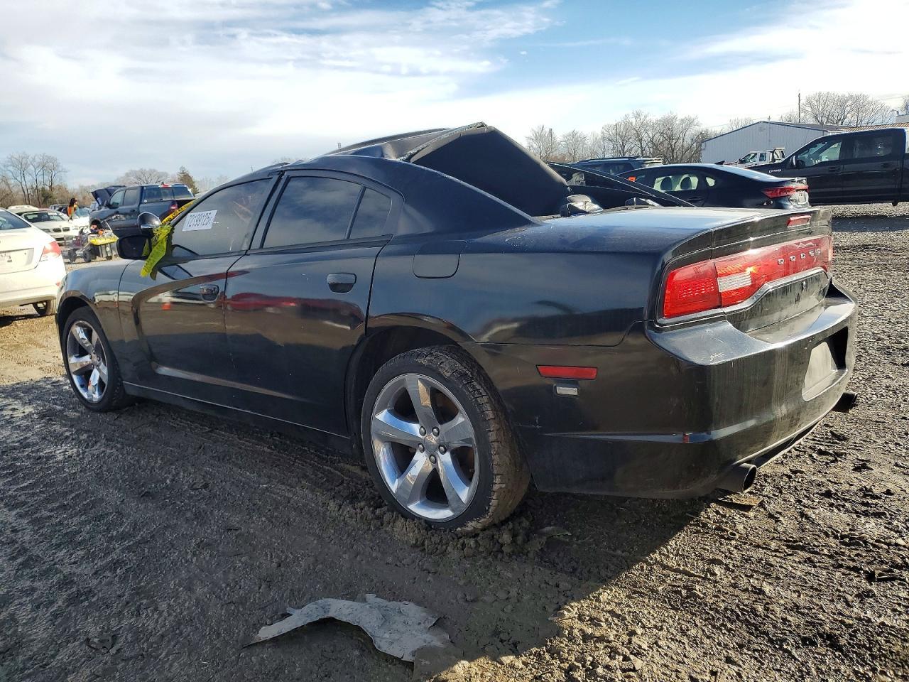 2013 Dodge Charger Police - Фото 2