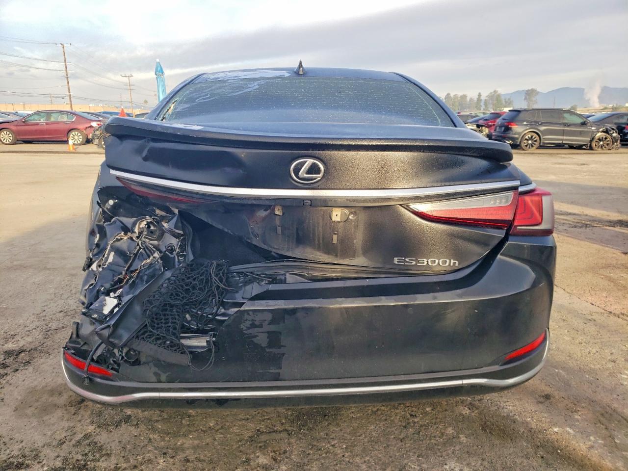 2024 Lexus Es 300H Base - Фото 6