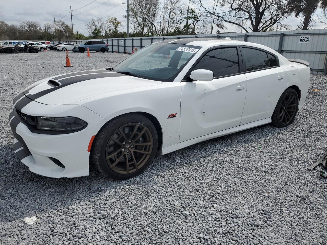 2019 Dodge Charger Scat Pack