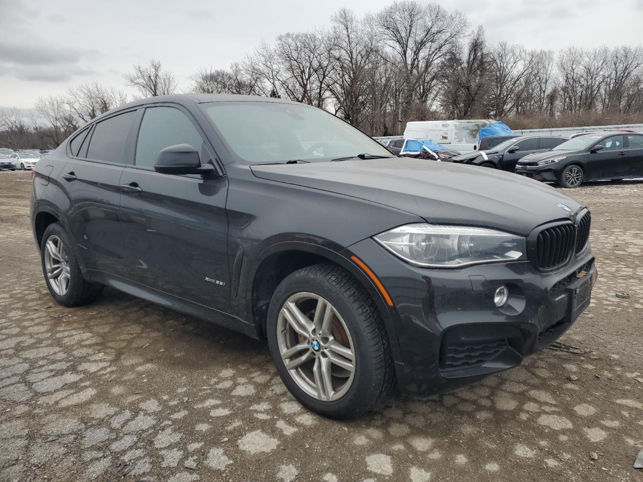 2016 BMW X6 xDrive35I - Фото 4