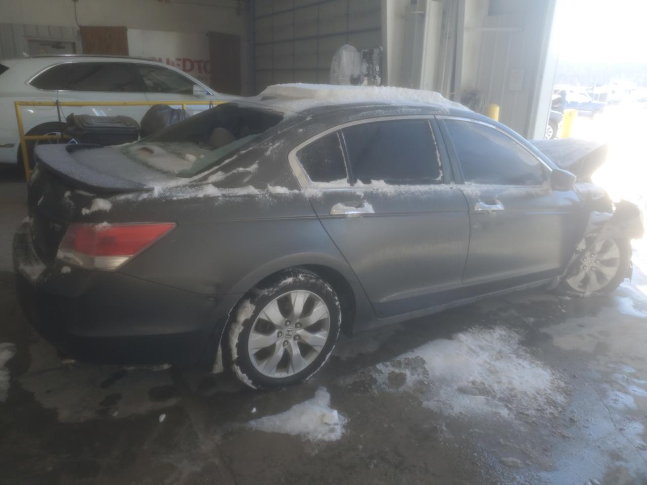 2008 Honda Accord Exl - Image 3