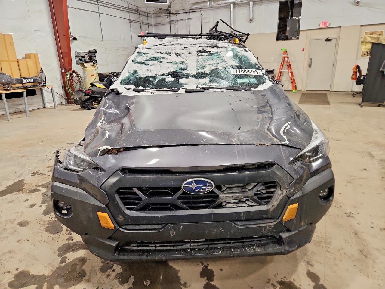 2024 Subaru Crosstrek Wilderness - Image 5
