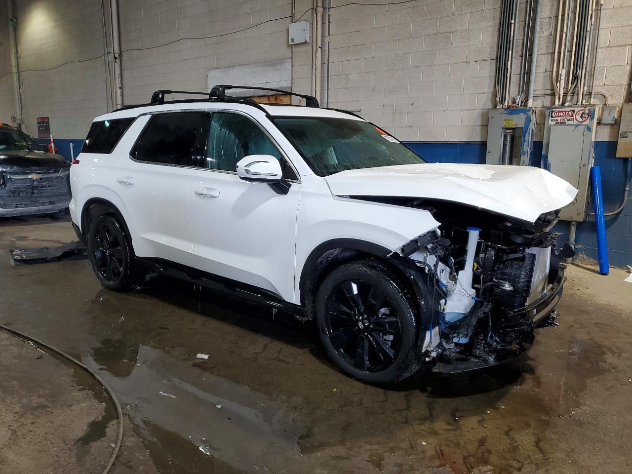 2025 Hyundai Palisade Xrt - Фото 4