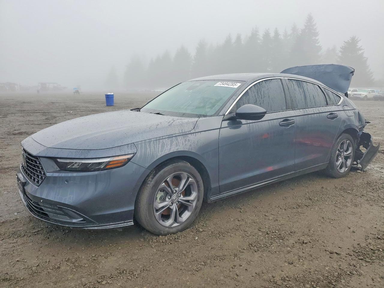 2025 Honda Accord Hybrid Exl