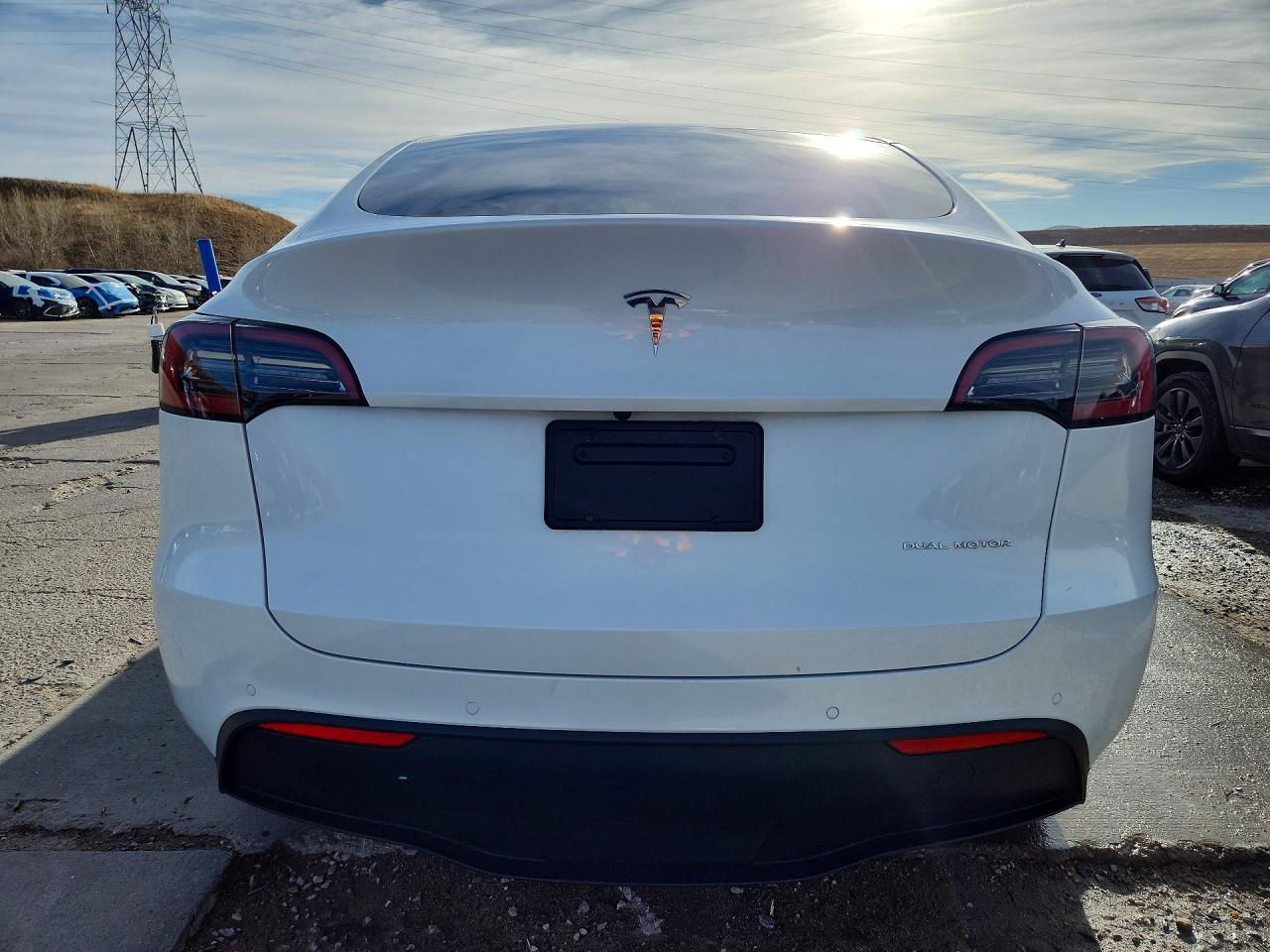2021 Tesla Model Y - Фото 6