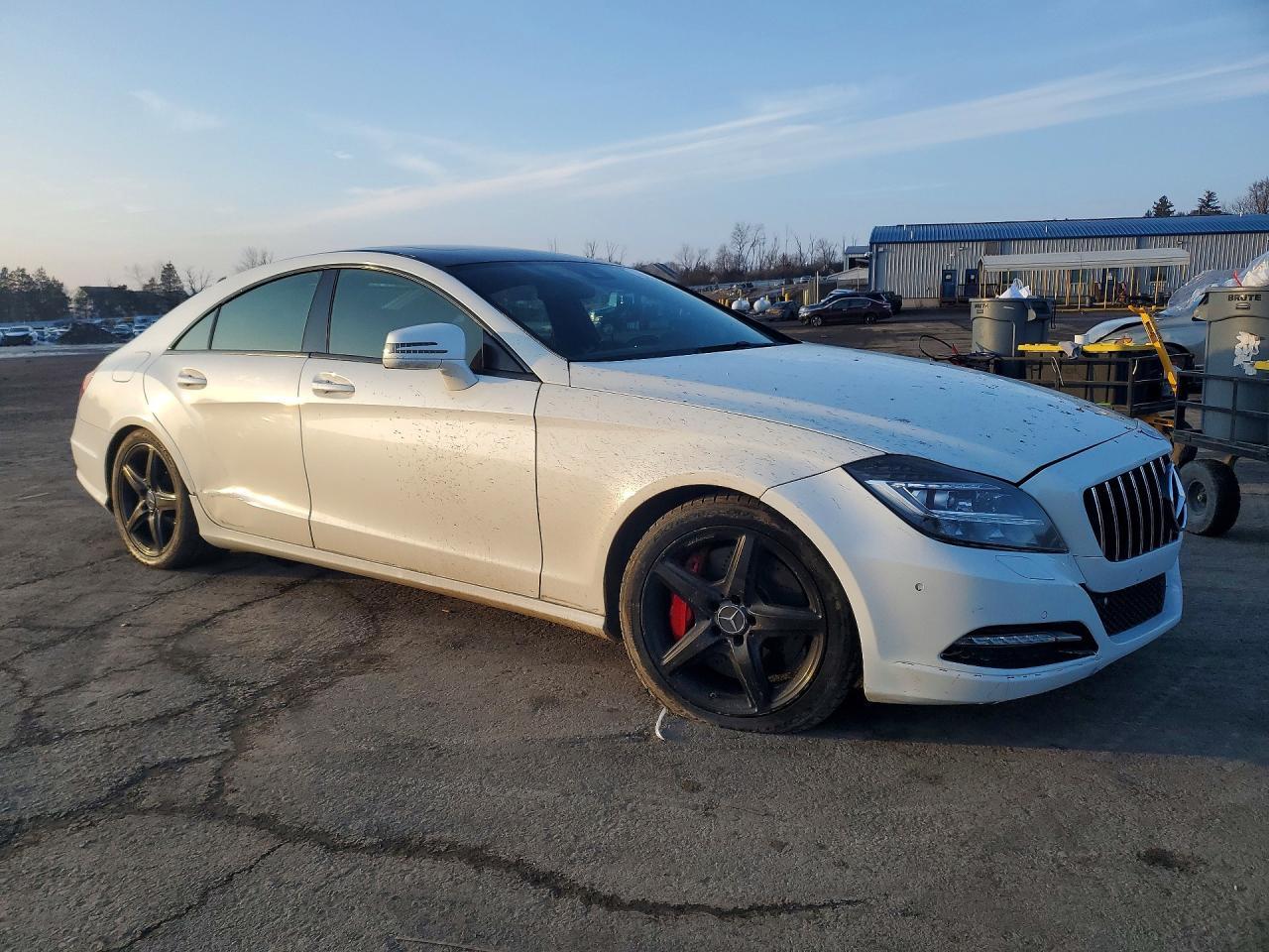 2014 Mercedes-Benz Cls 550 - Фото 4