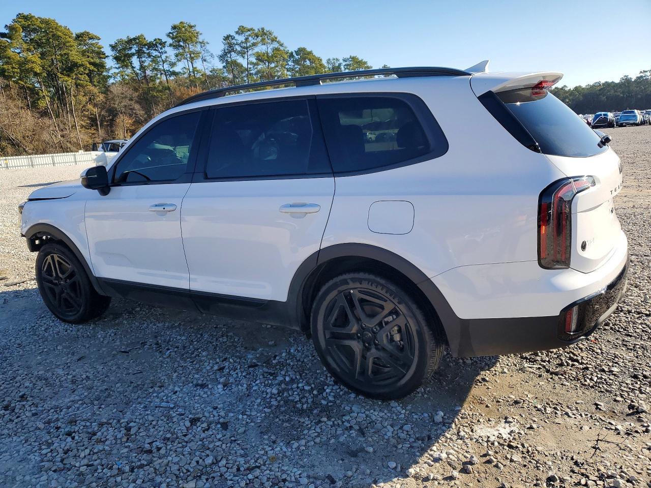 2025 Kia Telluride Ex X-Line - Фото 2