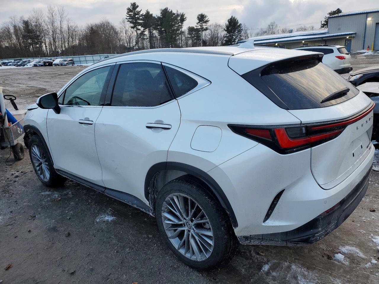2023 Lexus Nx 350H - Image 2