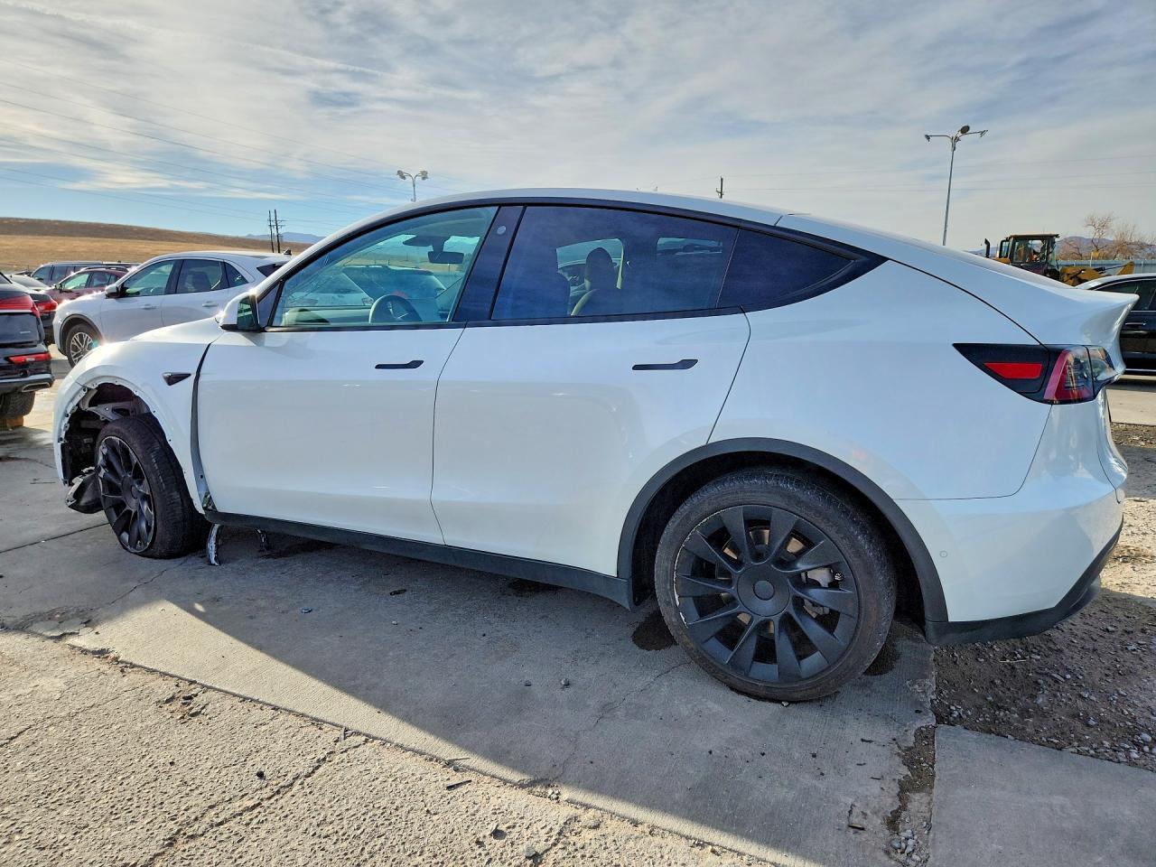 2021 Tesla Model Y - Фото 2