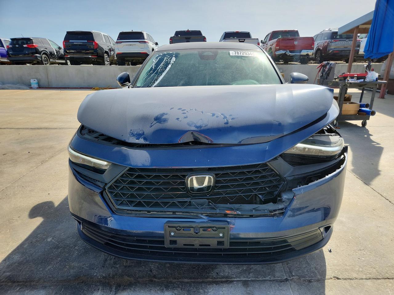 2024 Honda Accord Ex - Image 5