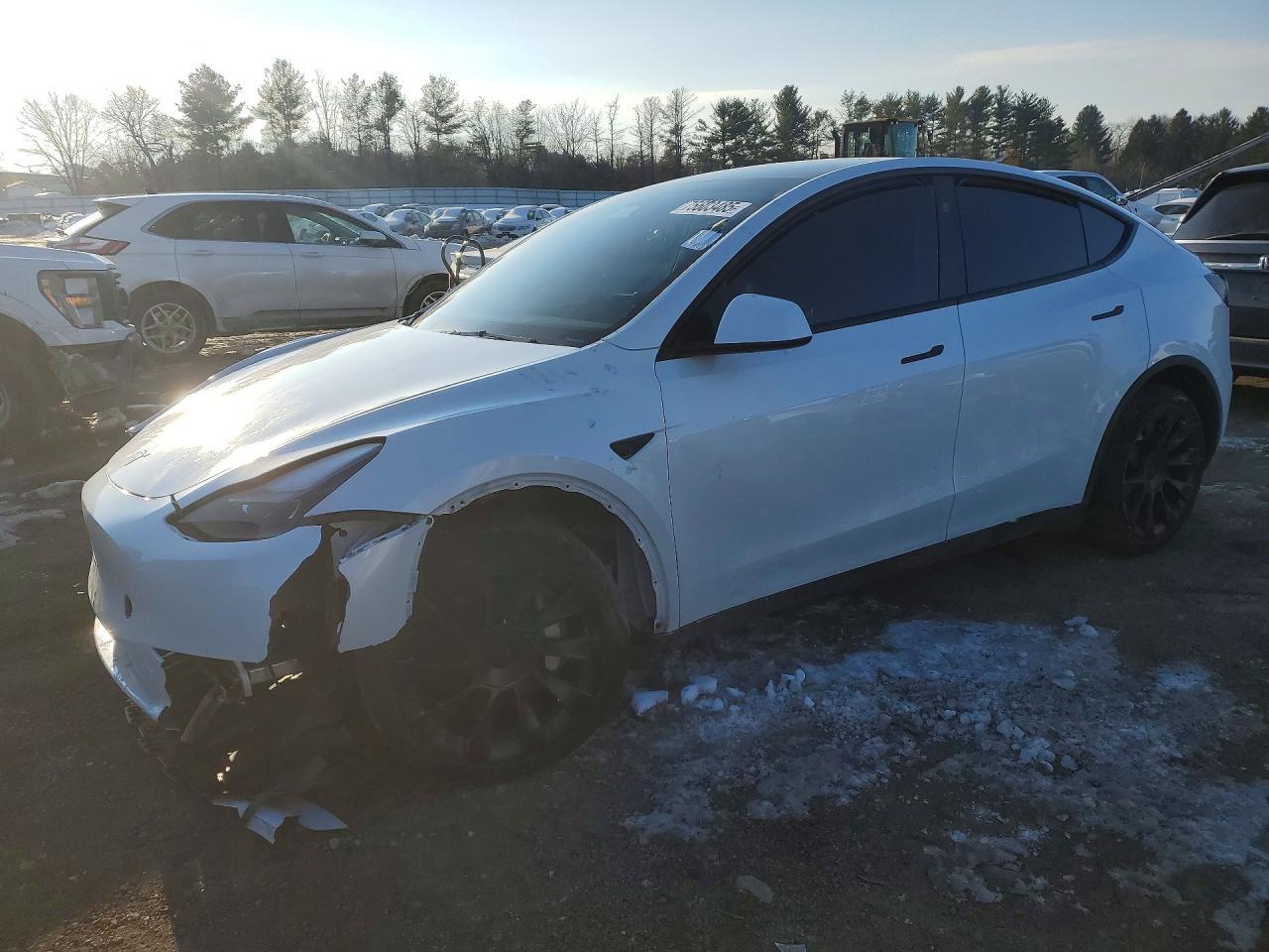 2024 Tesla Model Y