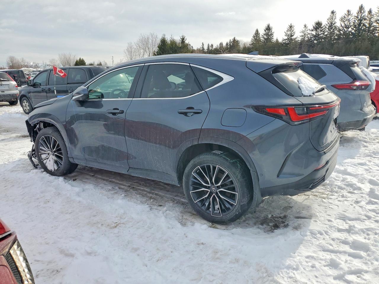 2022 Lexus Nx 350H - Фото 2