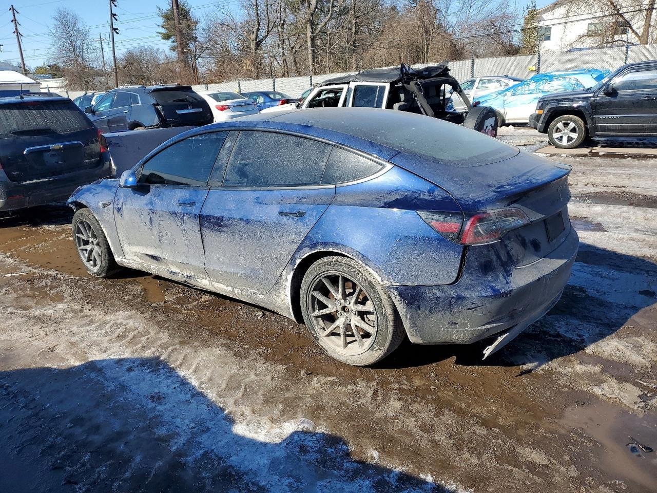 2021 Tesla Model 3 - Фото 2