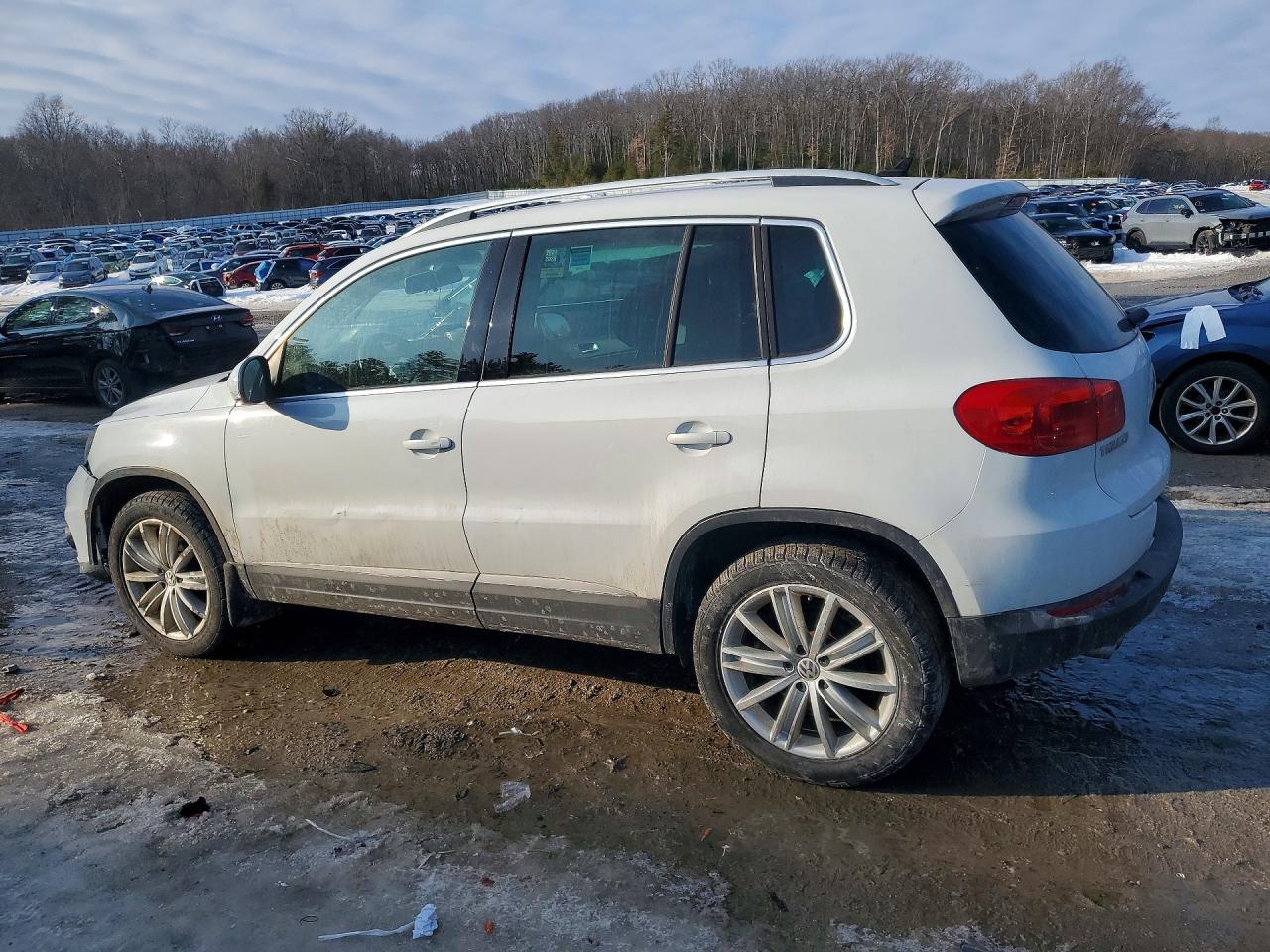 2014 Volkswagen Tiguan S - Фото 2