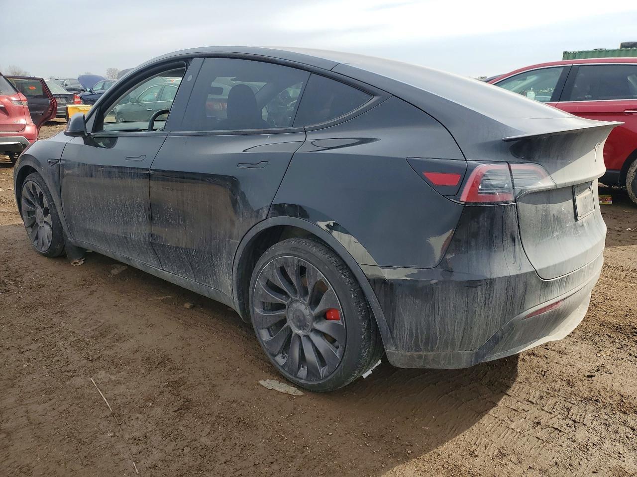 2025 Tesla Model Y - Фото 2