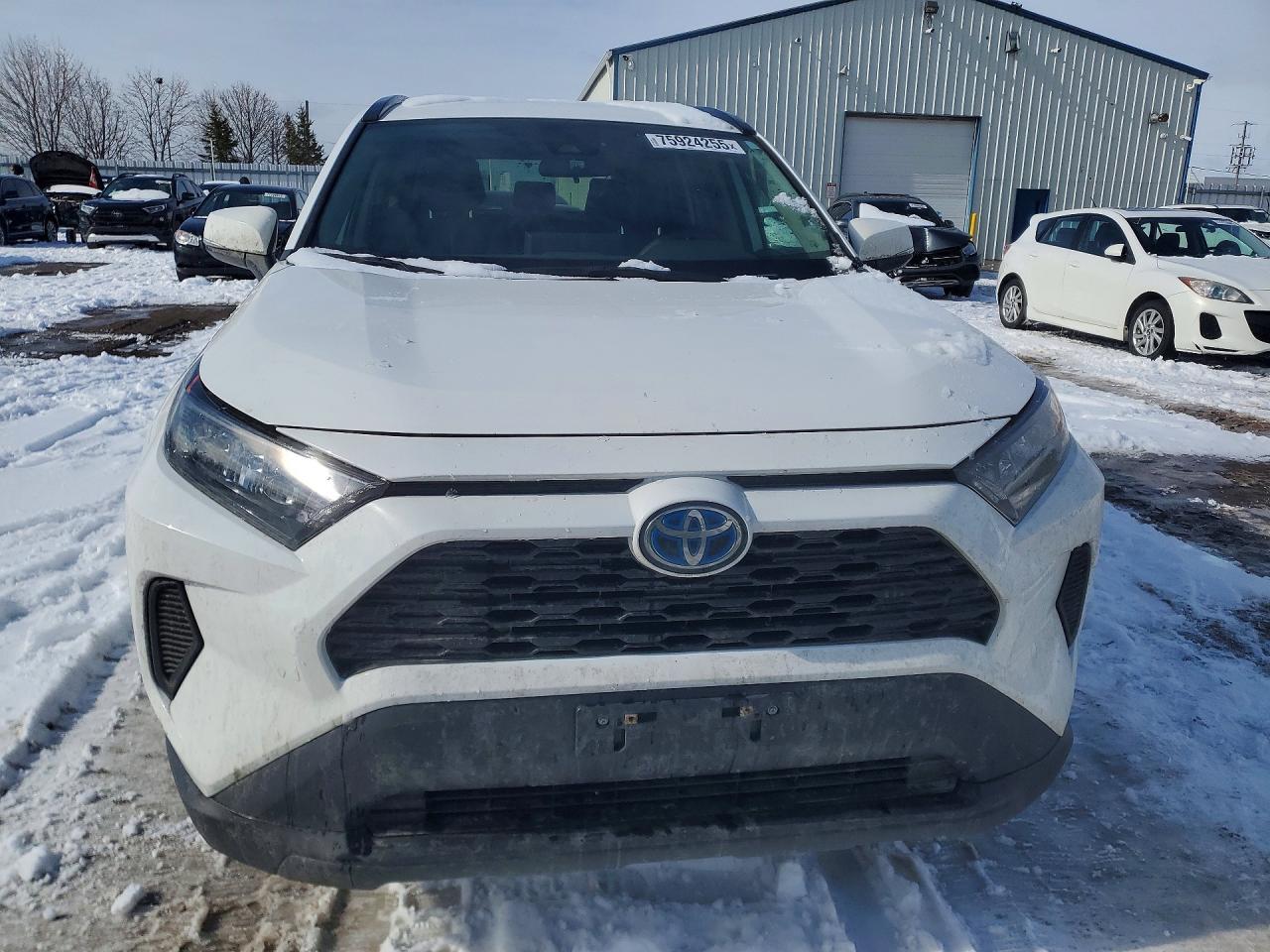 2024 Toyota Rav4 Le - Фото 5