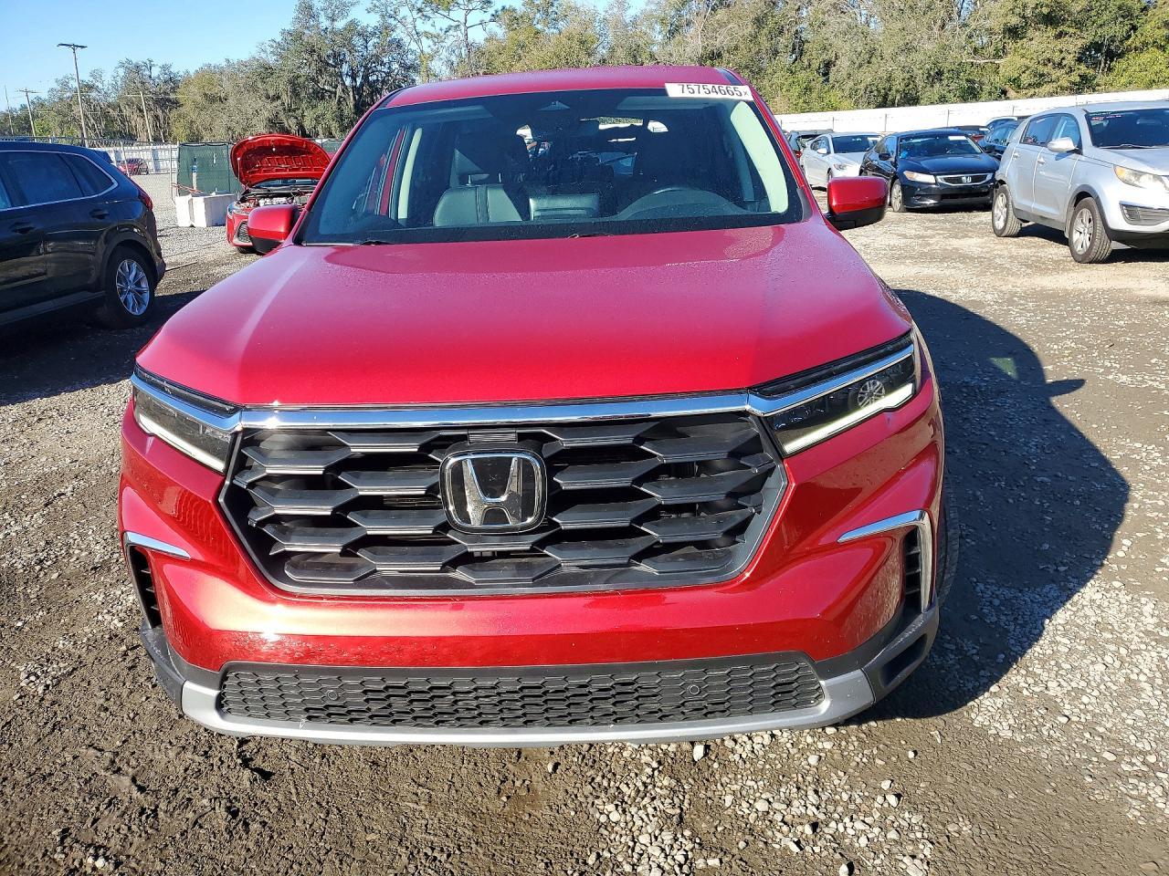 2025 Honda Pilot - Фото 5