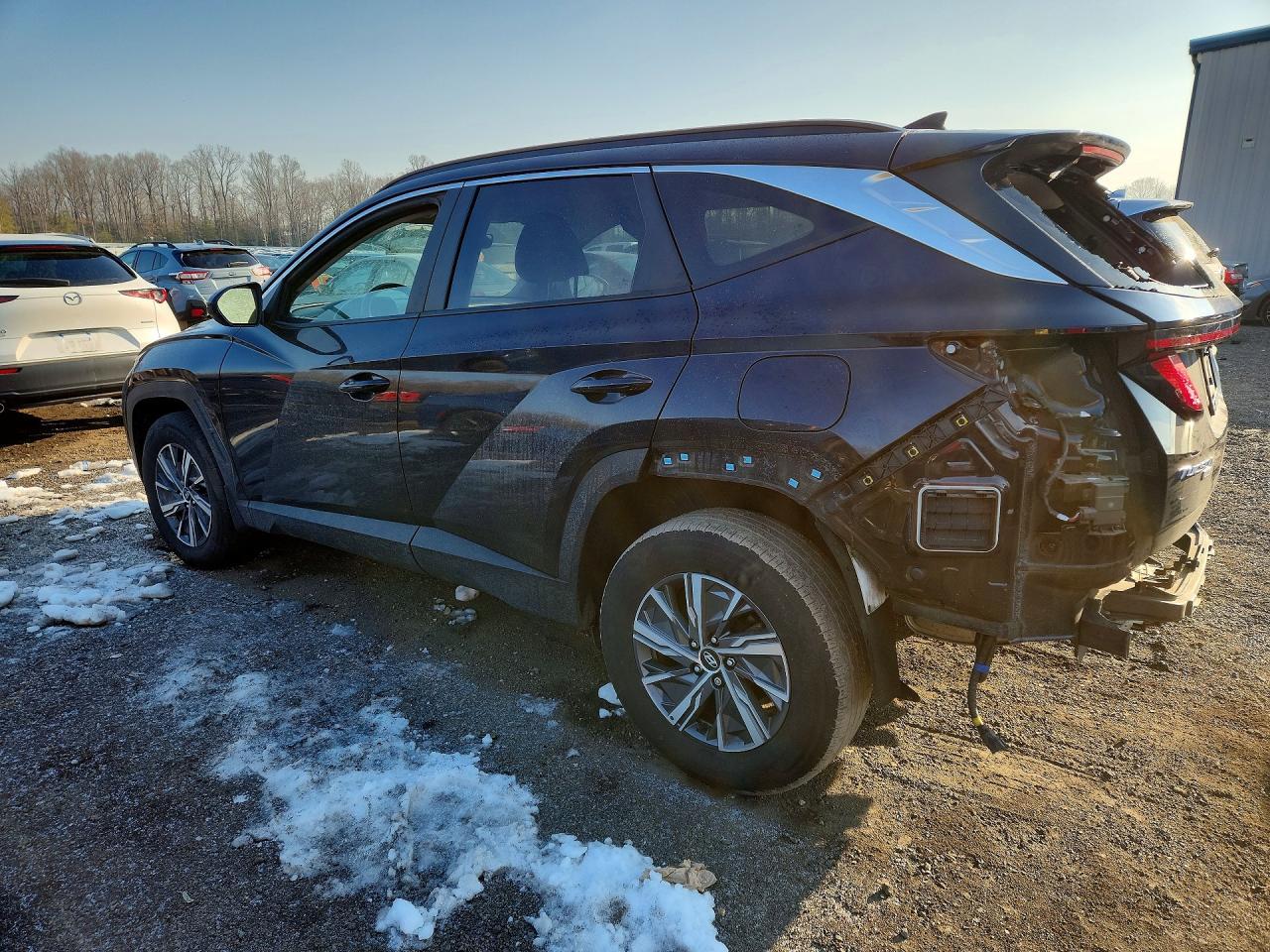 2024 Hyundai Tucson Blue - Image 2