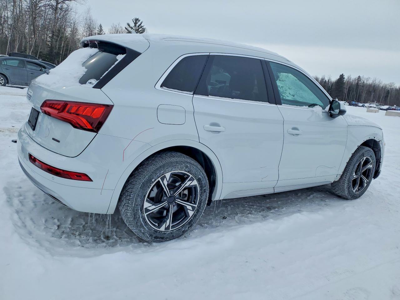 2019 Audi Q5 Prestige - Фото 3