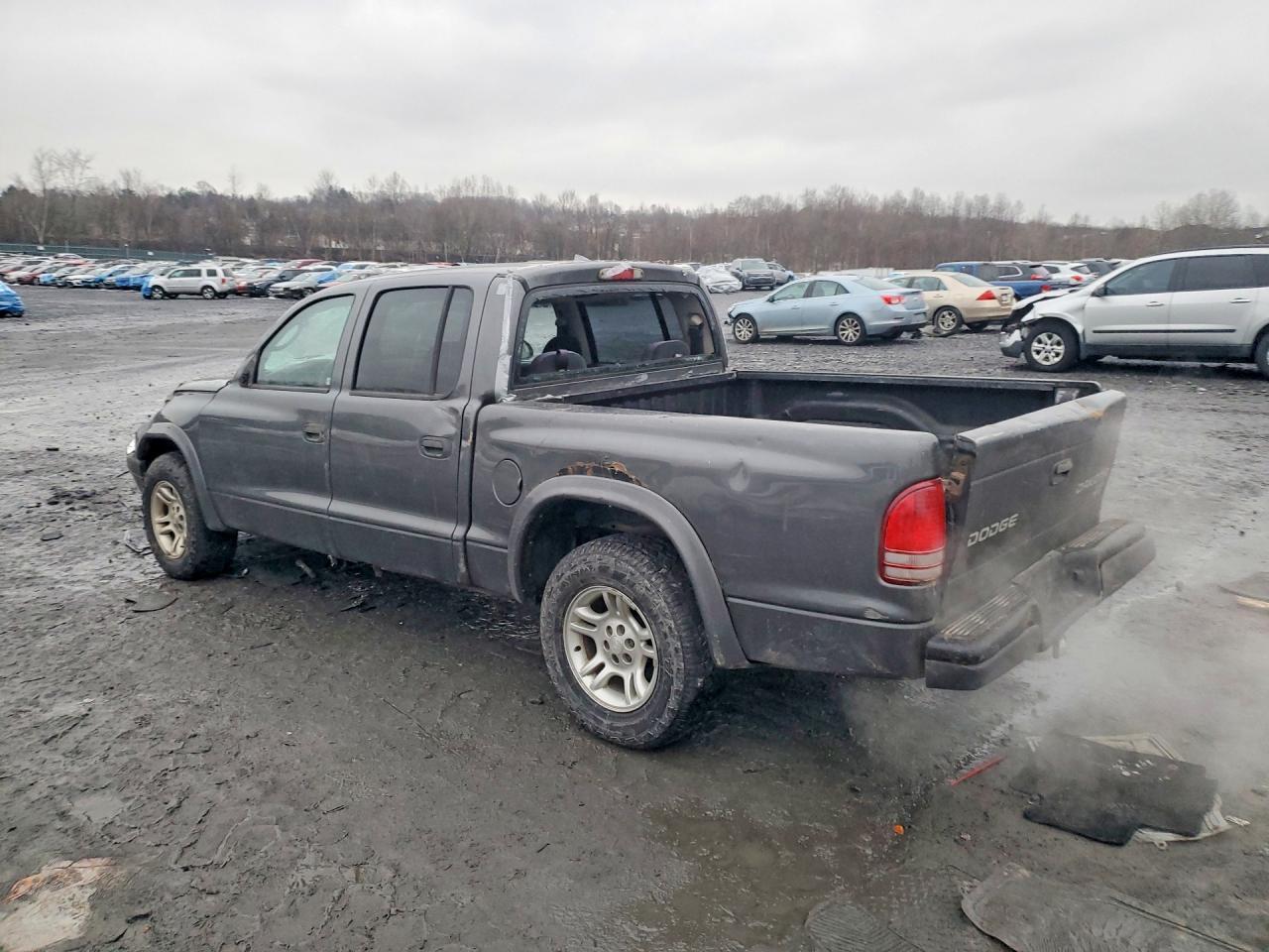 2004 Dodge Dakota Quad Sport - Image 2