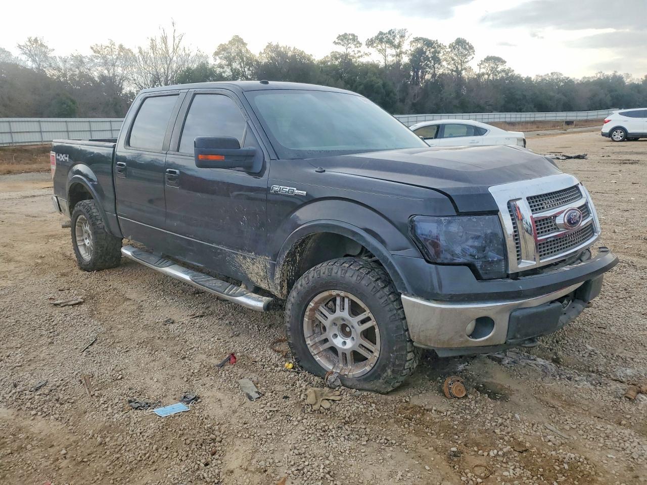 2010 Ford F150 Supercrew - Фото 4