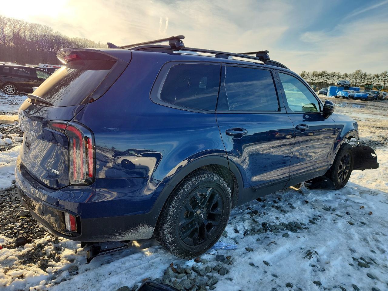 2024 Kia Telluride Sx - Фото 3