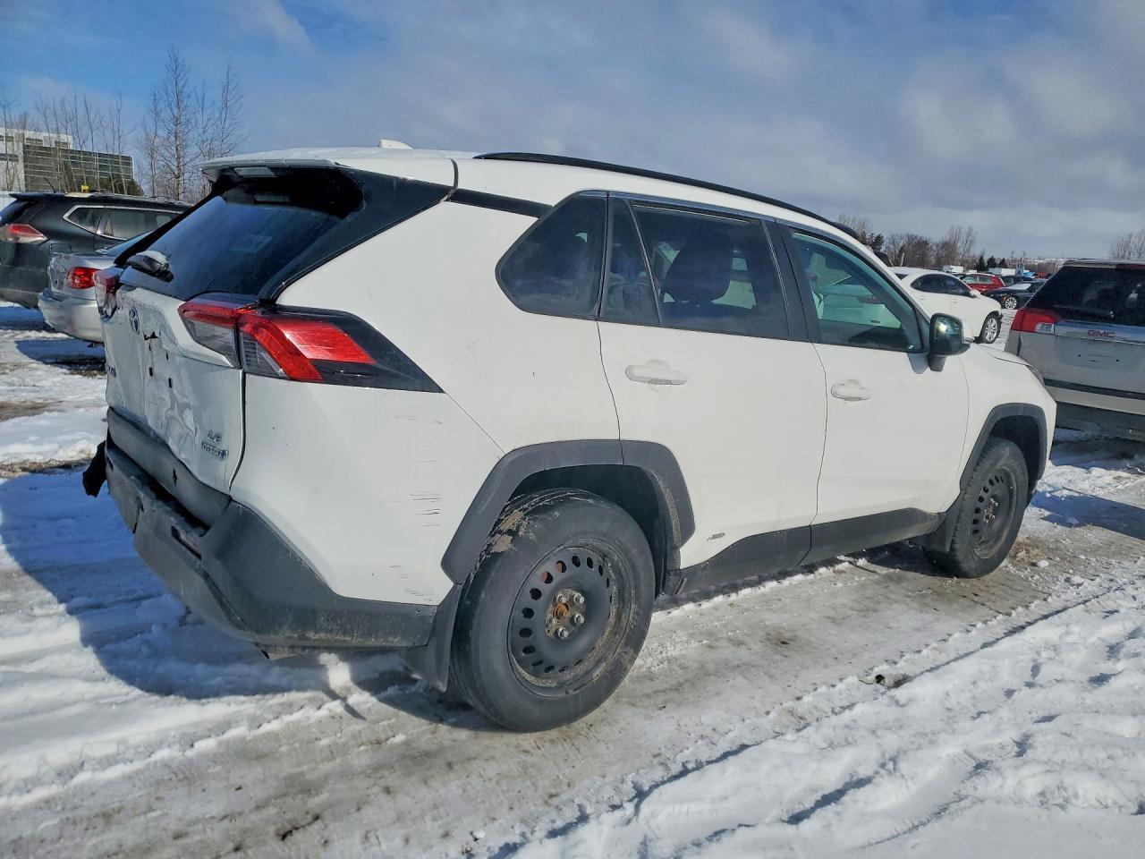 2024 Toyota Rav4 Le - Фото 3