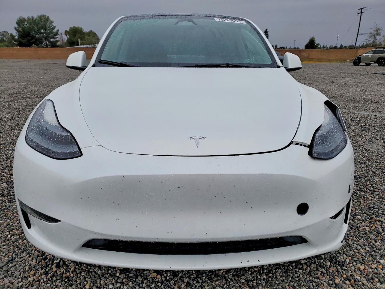 2023 Tesla Model Y - Фото 5