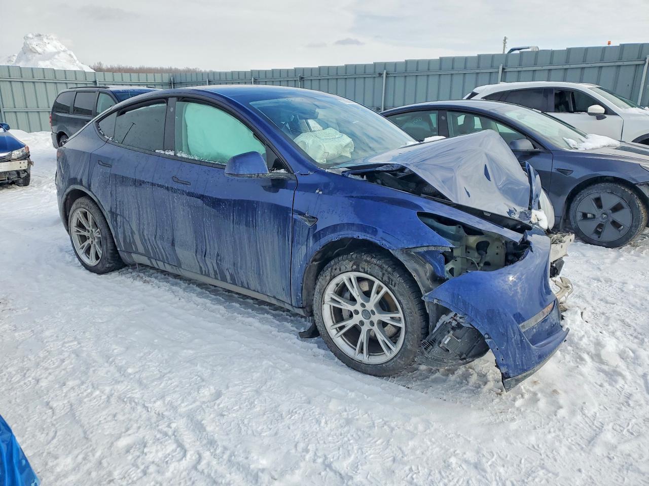 2023 Tesla Model Y - Фото 4