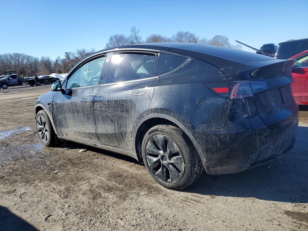 2025 Tesla Model Y - Фото 2