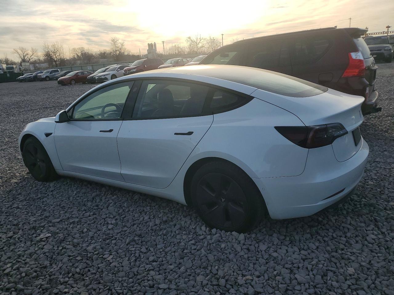2021 Tesla Model 3 - Фото 2