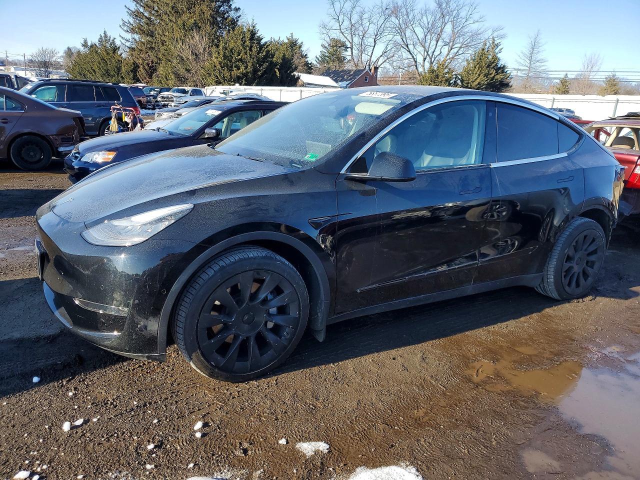 2020 Tesla Model Y