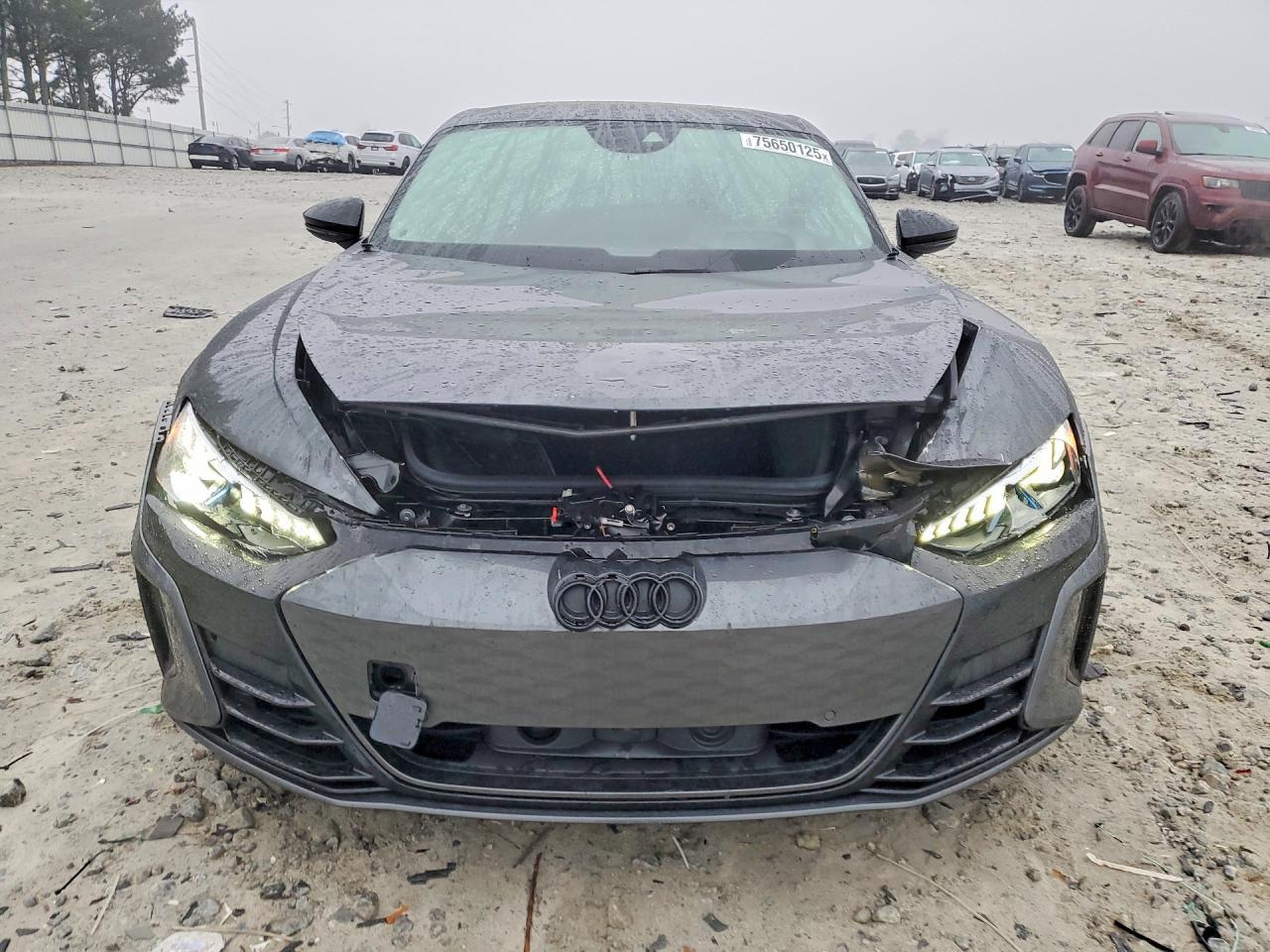 2024 Audi Rs E-Tron Gt - Фото 5