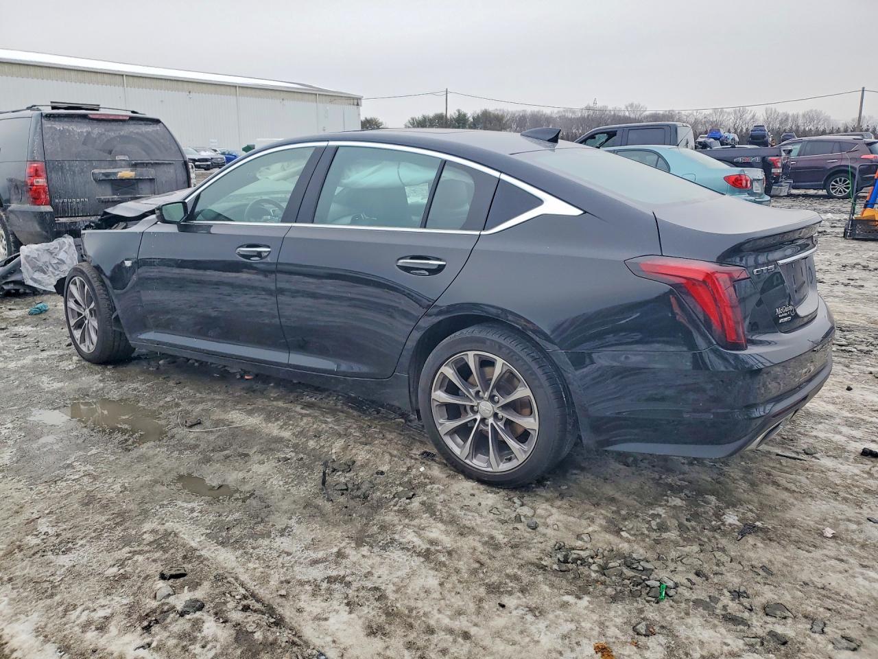 2023 Cadillac Cts - Фото 2