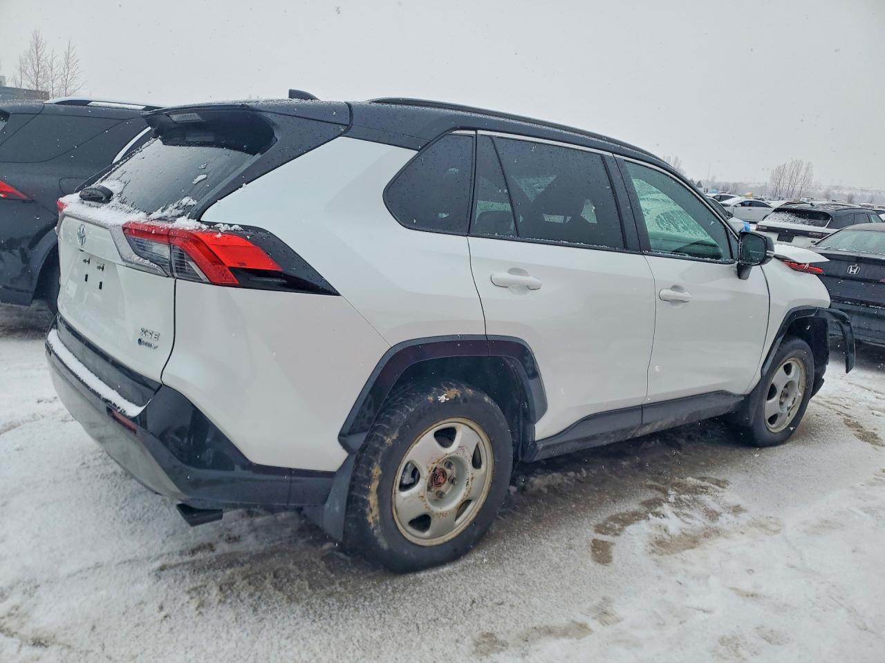 2025 Toyota Rav4 Xse - Фото 3