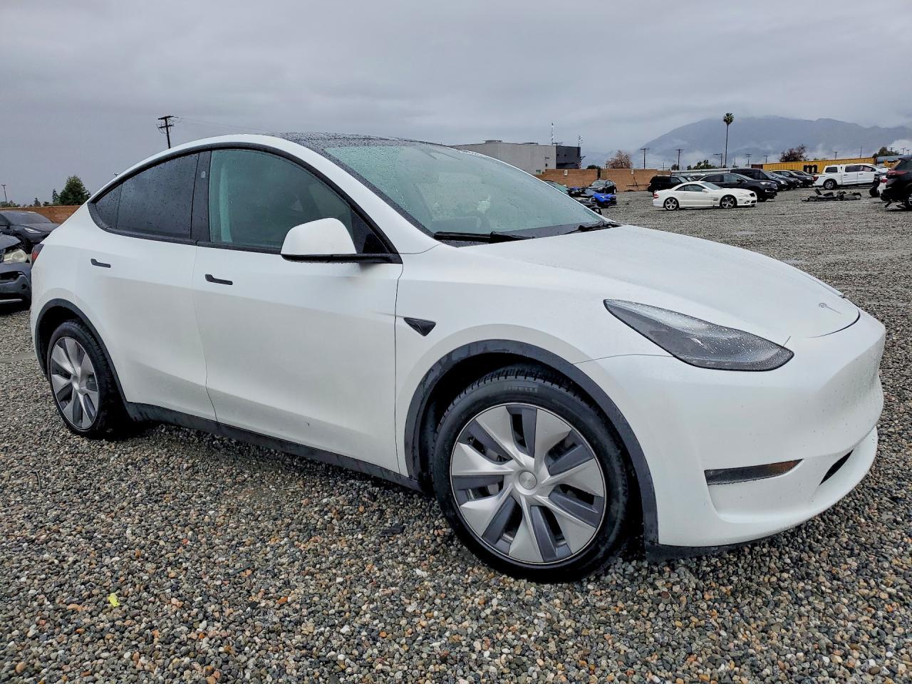 2023 Tesla Model Y - Фото 4