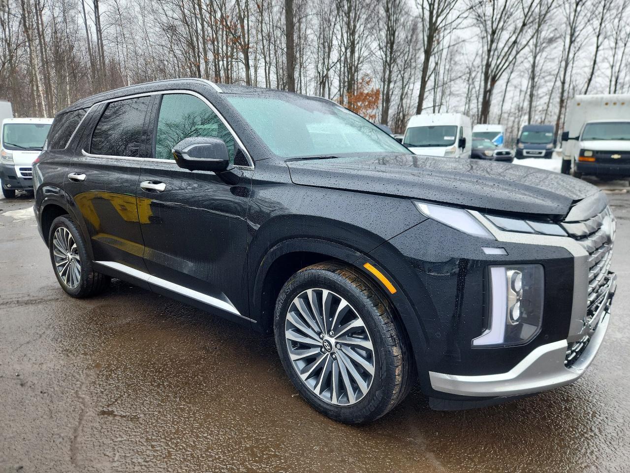 2024 Hyundai Palisade Calligraphy - Фото 4