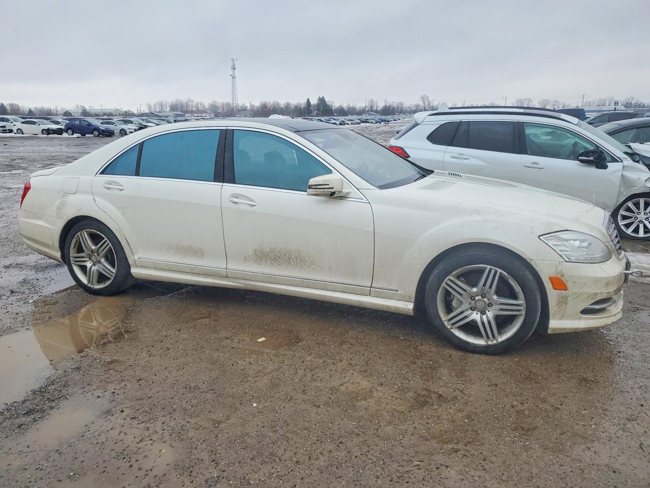 2013 Mercedes-Benz S 350 Bluetec - Фото 4